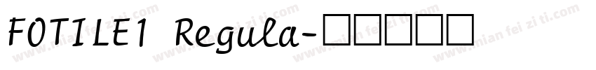 FOTILE1 Regula字体转换